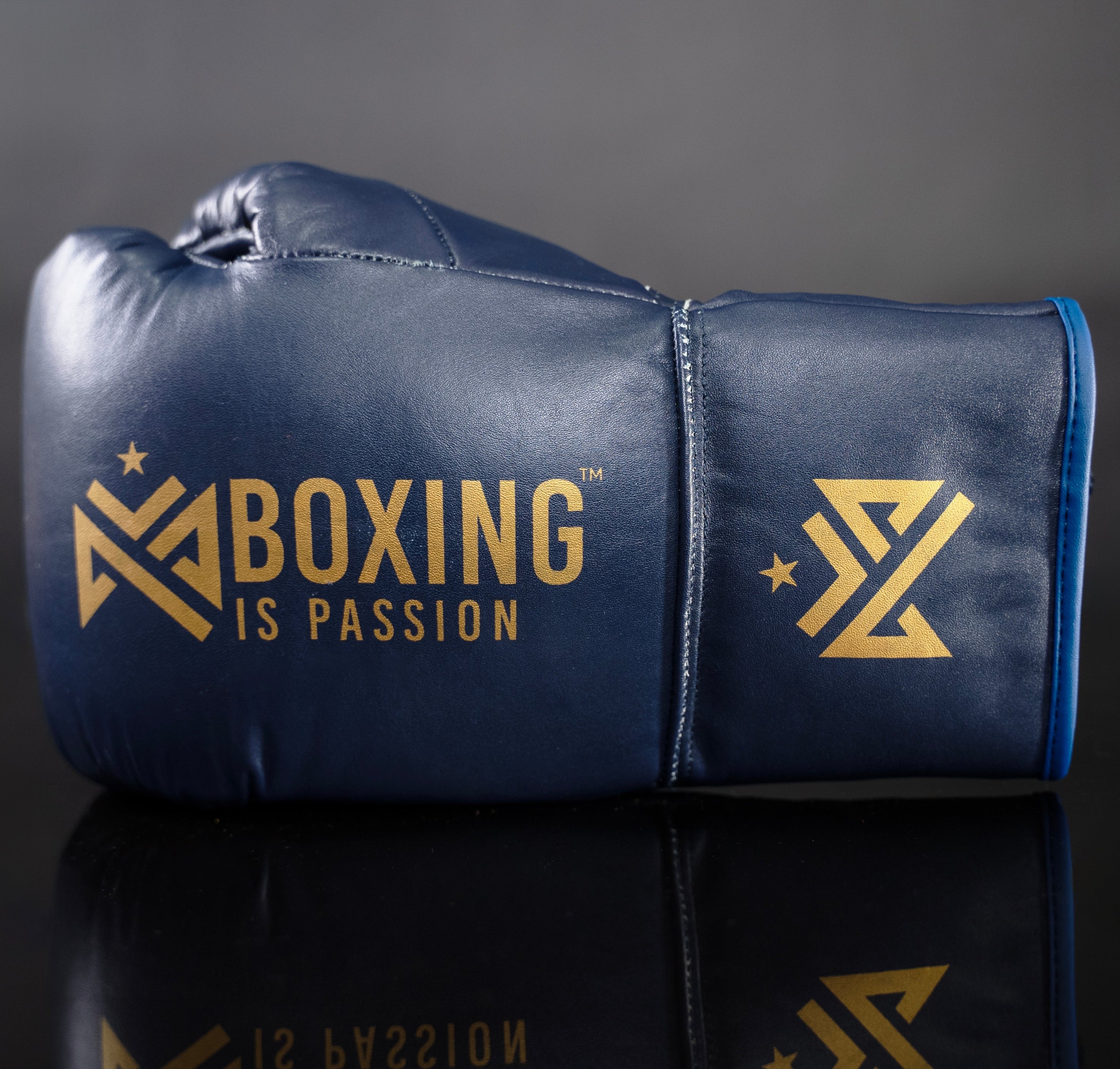 Boxing is Passion™ Lace Up Regular Leather Navy Training Boxing Gloves