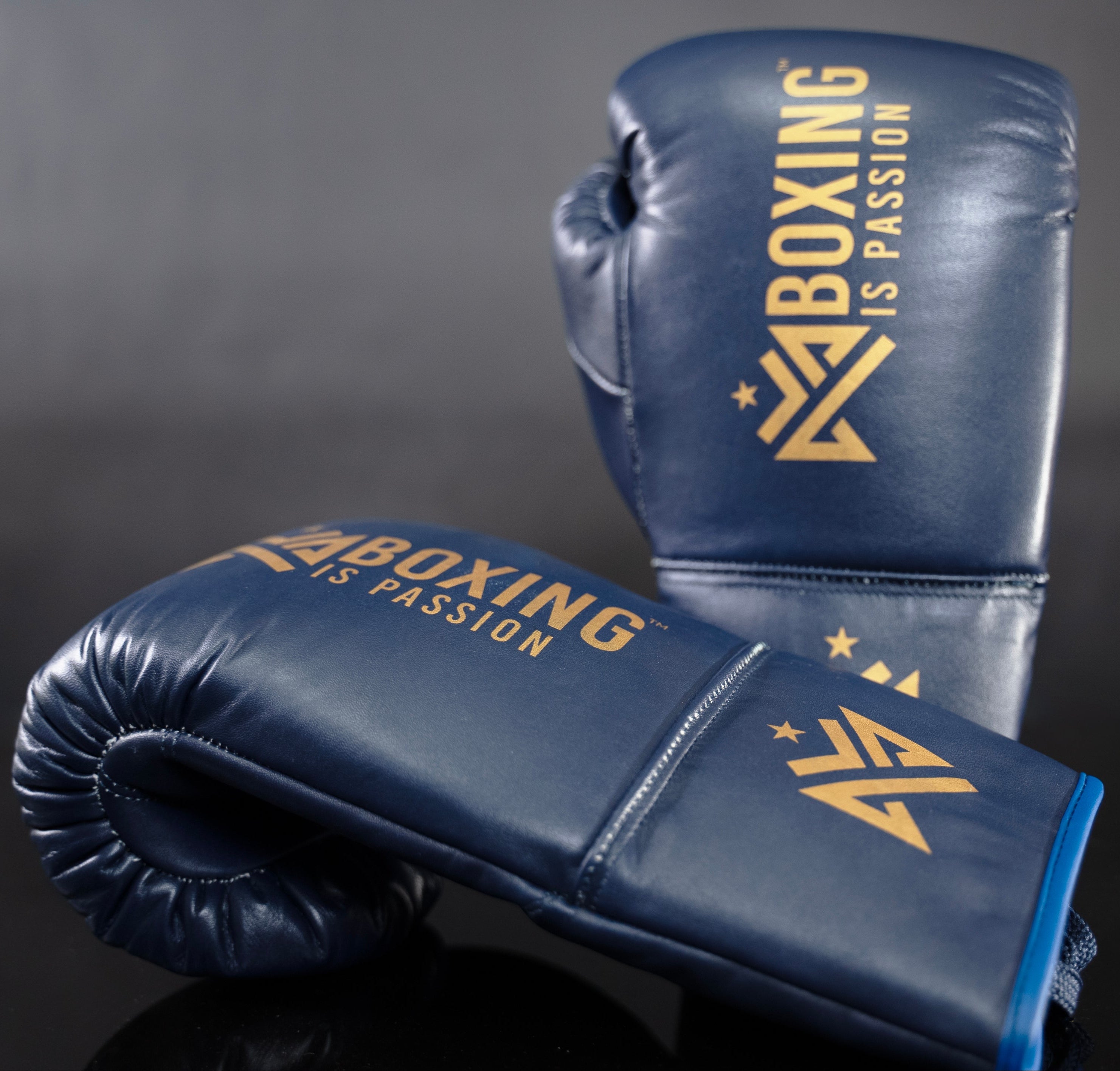 Boxing is Passion™ Lace Up Regular Leather Navy Training Boxing Gloves