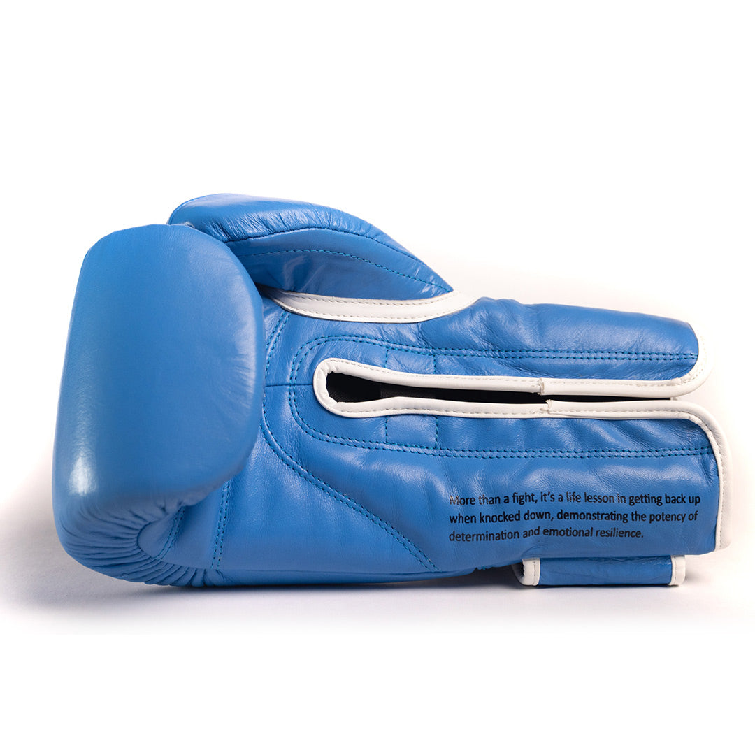 Boxing is Passion Light Blue LB2 Velcro Boxing Gloves