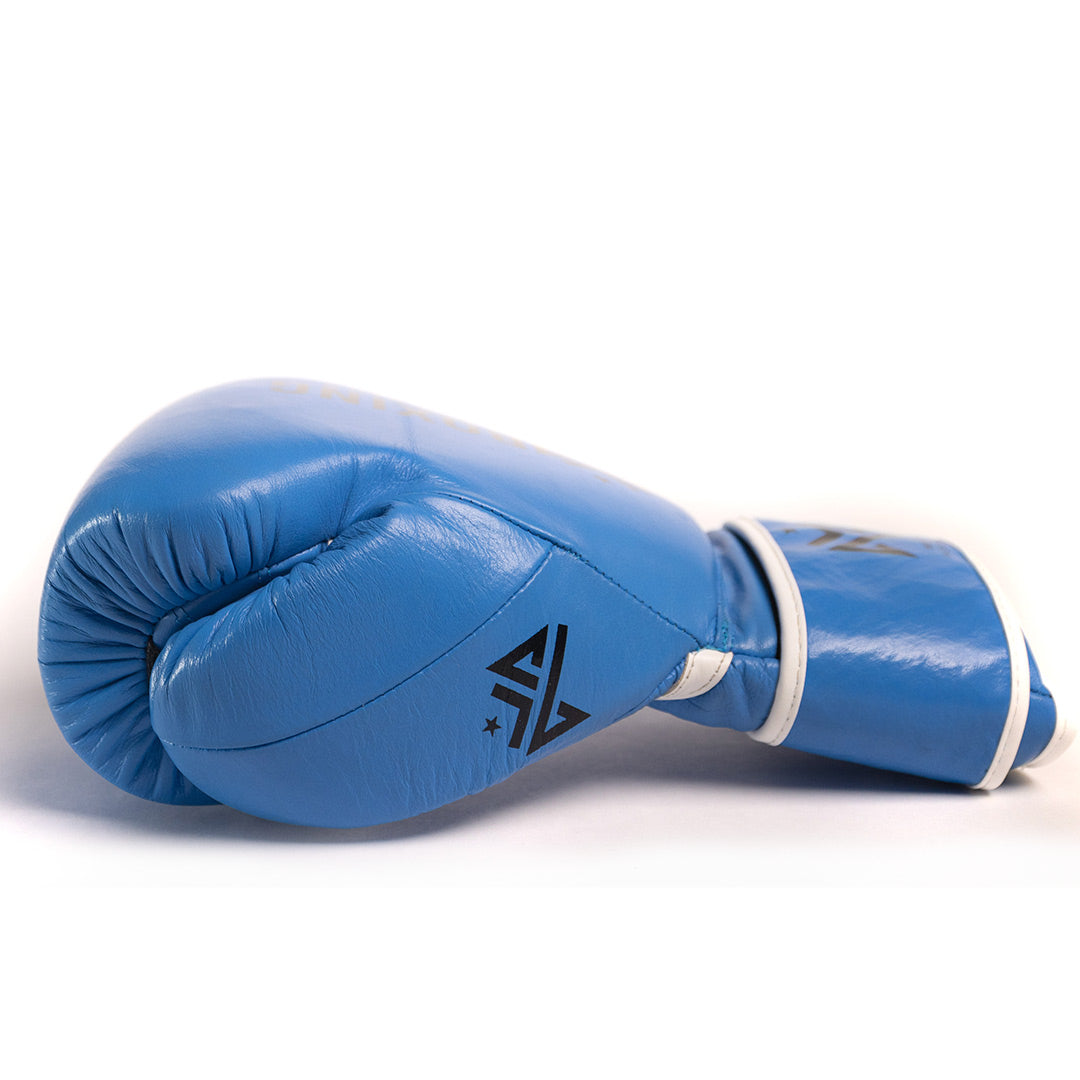 Boxing is Passion Light Blue LB2 Velcro Boxing Gloves